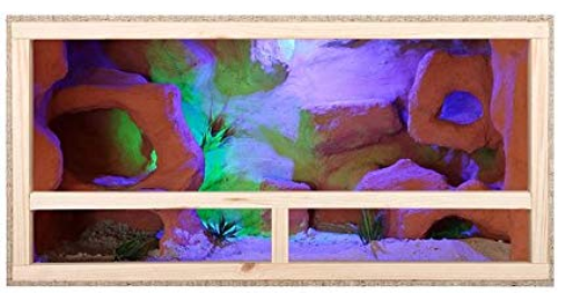 La tortue Hermann – L’arche de Milie