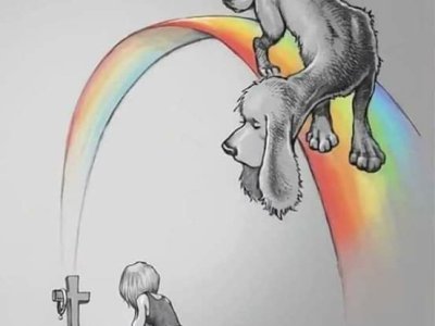 Faire le deuil de son&nbsp;animal